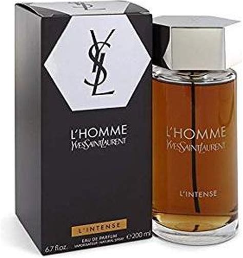 ysl ljomme|YSL lhomme review.